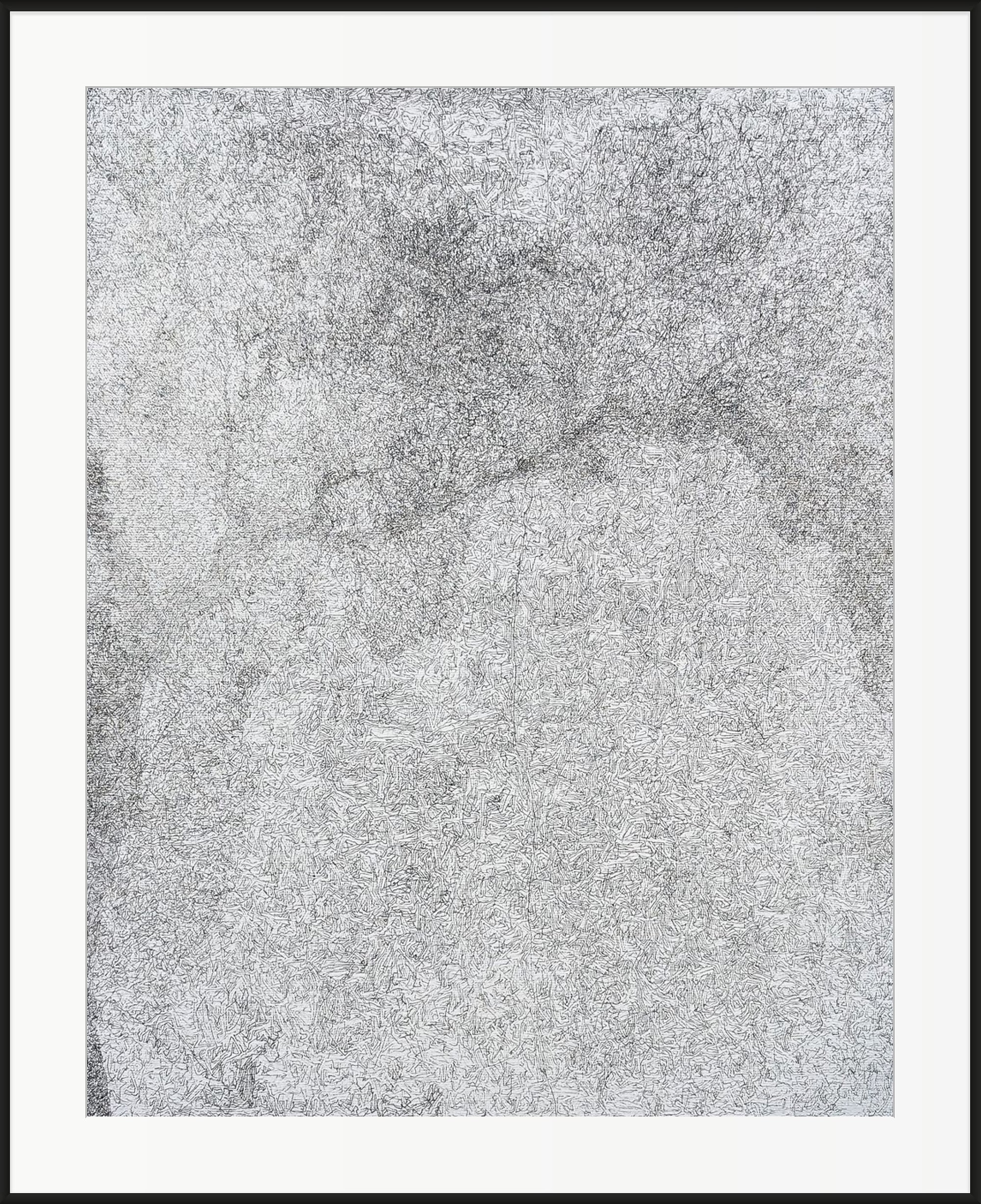 Framed monochrome pen plotter generative art — dense black and white algorithmic line patterns forming organic topographic landscapes. Original machine-drawn artwork.