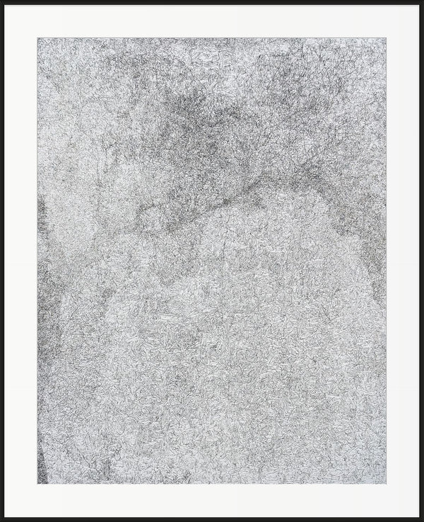 Framed monochrome pen plotter generative art — dense black and white algorithmic line patterns forming organic topographic landscapes. Original machine-drawn artwork.